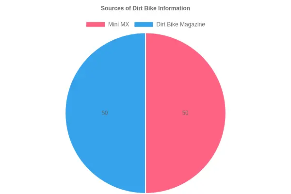 Dirt Bike with Red, White, and Blue Graphics